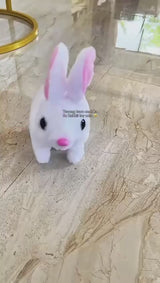 Walking Rabbit | Hopping Rabbit | Hopping Walking Rabbit |